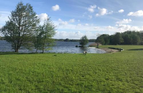 Apartment Grüne Welle - Foto 22