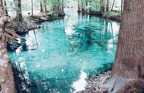 High Springs FL Hideaway - Foto 14