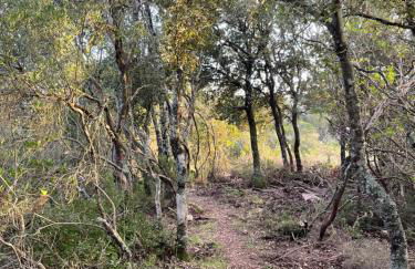 Maison de caractère rénovée Coggia - Foto 9