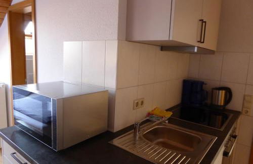 Roth Apartments beim Europa-Park Rust - Foto 33