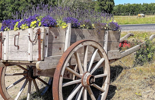 5 Person Holiday Home in Ellos-by Traum - Foto 27