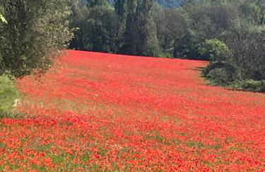 Gite Harmonie - Foto 54