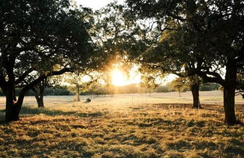 Modern Farmstay Cabin with Friendly Animals, Pond Views & Nature Trails Near Cedar Creek, Texas - Photo 71