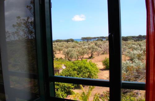 Oasi del Governatore - Foto 30