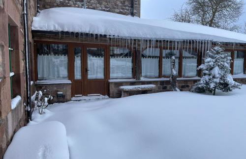 El Rincón de Golobar en Brañosera - Foto 54