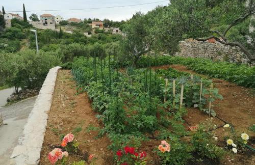 Cosy 4bedrooms Holiday House Ruška - Dol - Foto 18