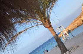 La Esperanza - Foto 47