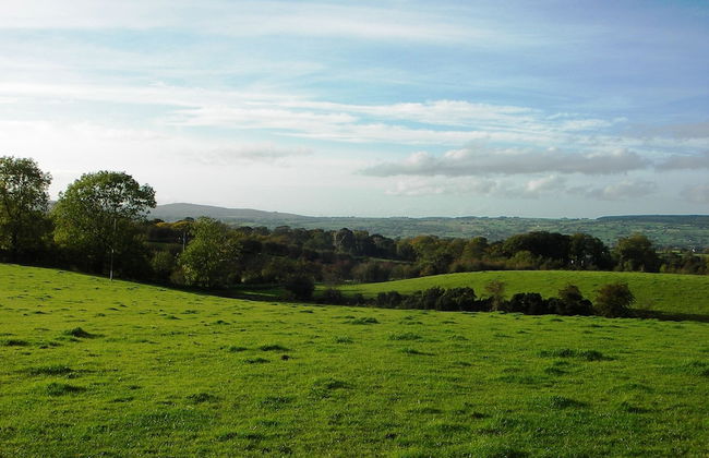 Ballylagan Organic Farm - Foto 27