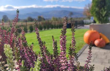 Domki Karkonosze Pod Dębem - Foto 30