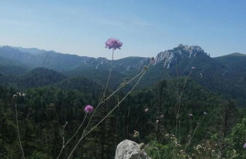 Velebit Mountain Chalet Stars Peak - Foto 26