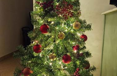 La tana delle Byrbe - Foto 6