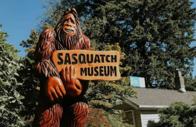 Harmony Haven 2BR Lakefront Suite - Photo 65