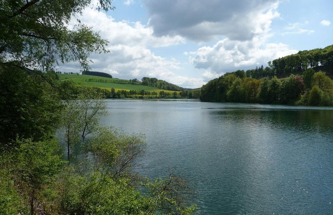 Ferienhaus Schmallenberg Nahe Skibus - Foto 30