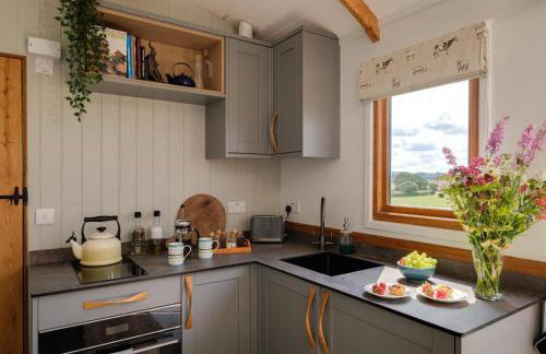 The Acorn - Luxury Shepherds Hut hot tub panoramic views - Foto 22