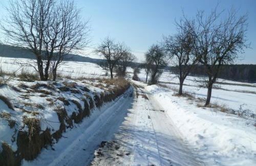 Ferienhaus Friedrichswalde - Foto 31