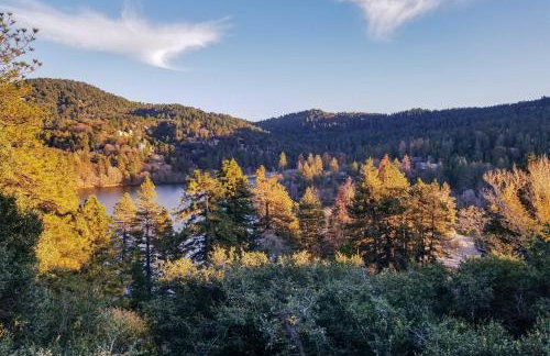 The Atomic Squirrel Lodge Lake Gregory Getaway! - Foto 29