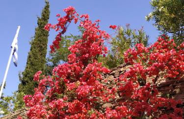 Saint Louis - Foto 24