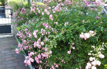 House Silvana - apartment with garden view - Photo 25