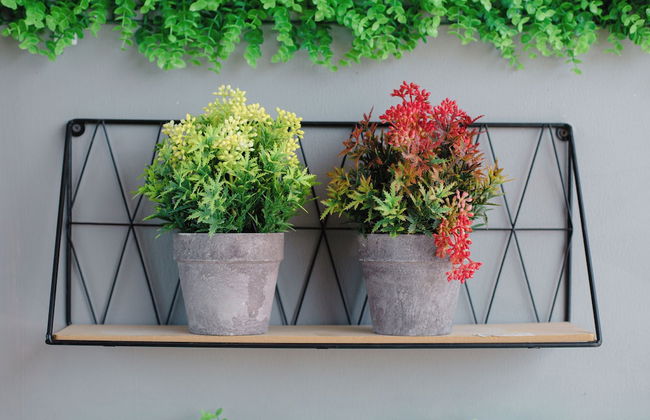 Remarkable 3-bed Apartment in Zanzibar - Photo 40