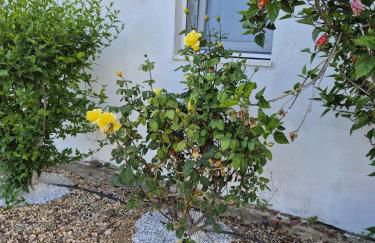 Villa Elvira Country House - Foto 60