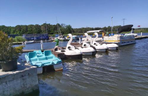 AB Musiol - Photo 22