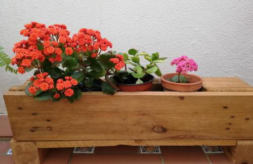 Apartamentos Coralba - Dúplex Bahía de Cádiz - Foto 16