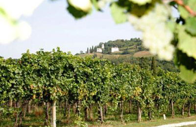 Al Benandant - Photo 28