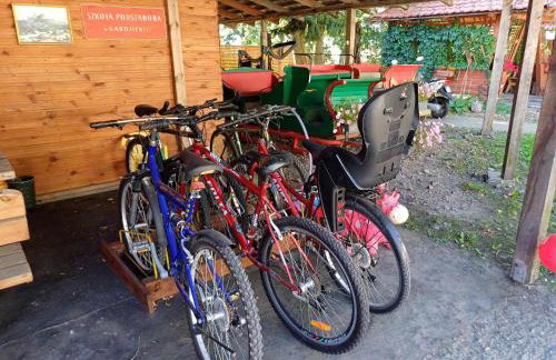 Gospodarstwo Agroturystyczne Dworek Andrzejówka - Foto 8