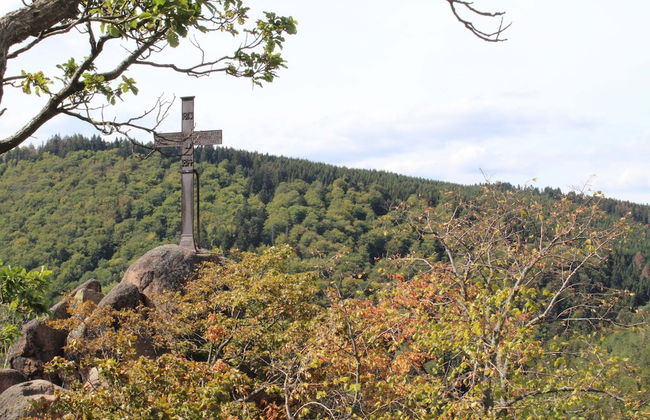 Classic Holiday Home in Harz near Braunlage Ski Area - Foto 16