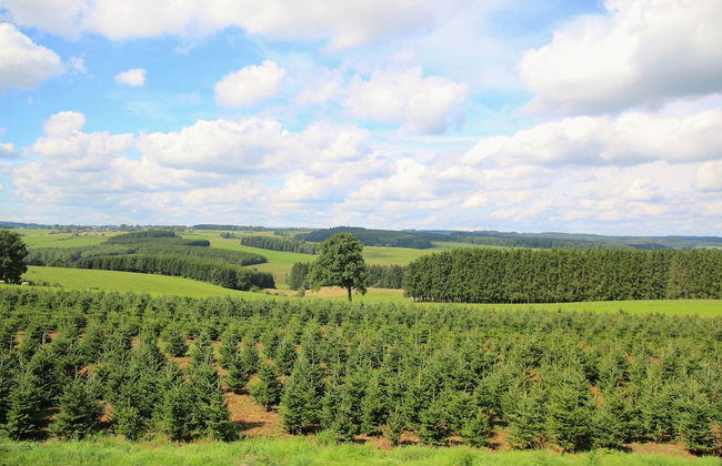 Spacious Country Villa - Foto 57