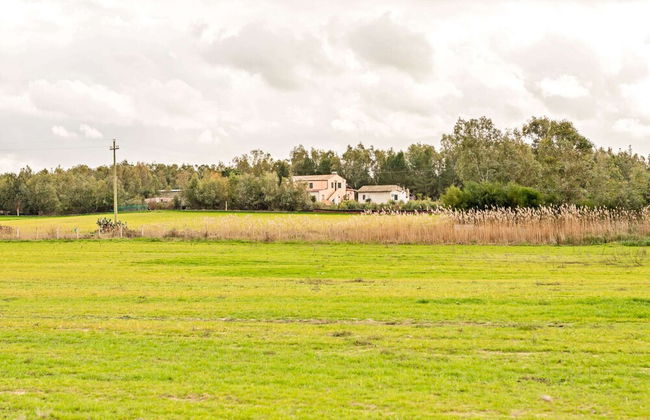 Homes in the Lagoons of Santa Giusta - Foto 39