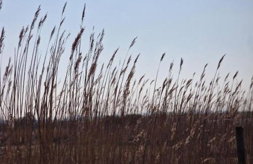 Haus-Fehmarn-am-Dorfteich-|-Wohnung-3-Nord - Foto 48