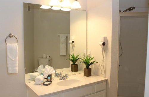 205 - Disney, Universal, Convention Center - Foto 18