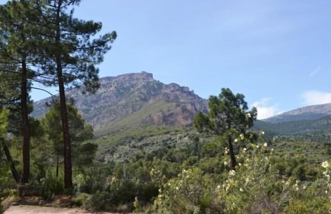 Casas rurales la Tejeruela - Foto 60