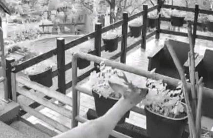 Casa Pinocchio - Foto 18