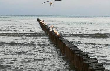 Ferienhaus in der Hansestadt mit Blick auf Ostsee - Foto 38