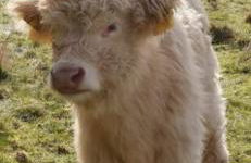 Ferienwohnung GABI - Foto 61