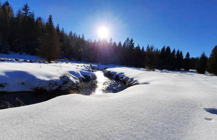 Ferienhaus am Erzgebirgskamm - Foto 25
