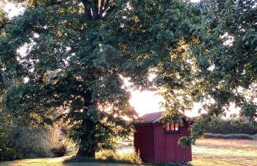 Humphries Cross Apartments - Foto 125