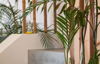 Villa Sal - Photo 121