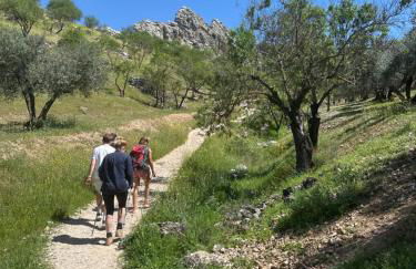 Cueva Ventica - Foto 64
