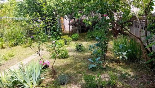 Maison Alfred - Foto 5