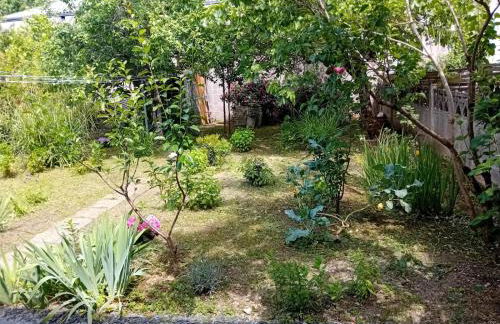 Maison Alfred - Foto 5