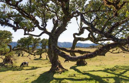 Ocean Breeze - Foto 38