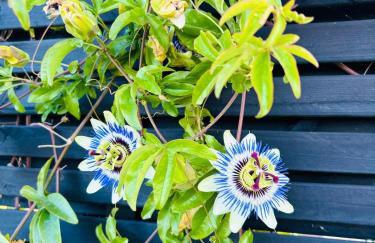 The Rookery 2 bedroom barn, hot tub, dog friendly - Foto 18