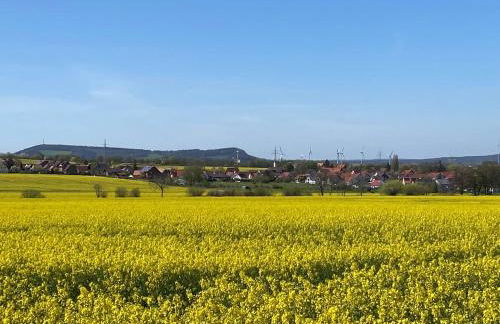 Ferienwohnungen bei der Purpurbuche - Foto 29
