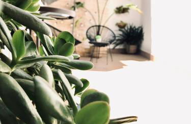 Apartamentos Élite - Art Collection - Frida - Foto 36