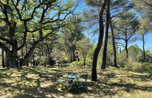 Gîte Lavande vue Luberon 33 hectares piscine Spa Sauna au cœur de Provence - Foto 29
