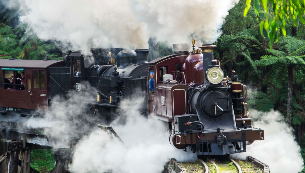 Escursione al Santuario di Healesville + Treno Puffing Billy