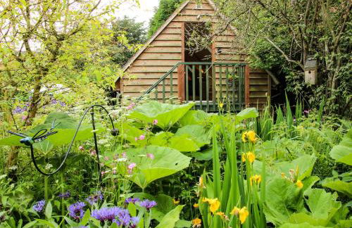 Milford Tree Tops - Foto 17